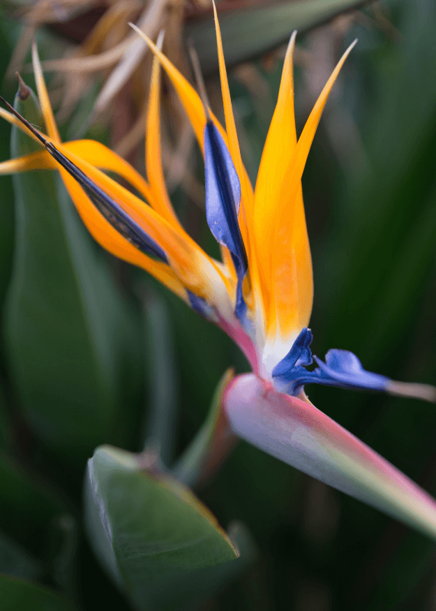 The programs featured image