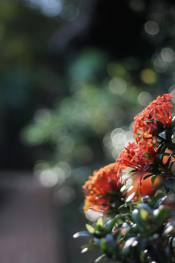 The programs featured image